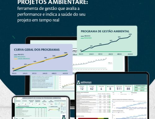 Ferramentas de Gestão – Dashboard de projetos no gerenciamento de programas ambientais